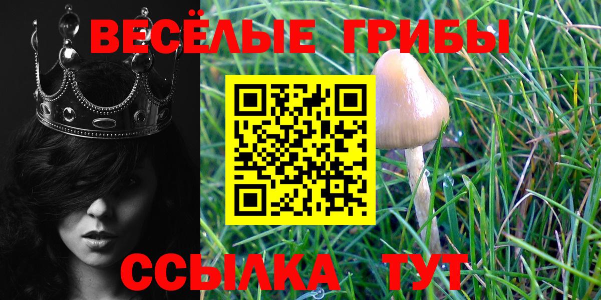 Среднеуральск  Галлюциногенные грибы мицелий  Вход с VPN 