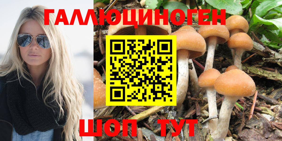 Галлюциногенные грибы ЛСД Среднеуральск